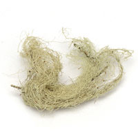 Usnea 1/2 Oz. (Usnea barbata)